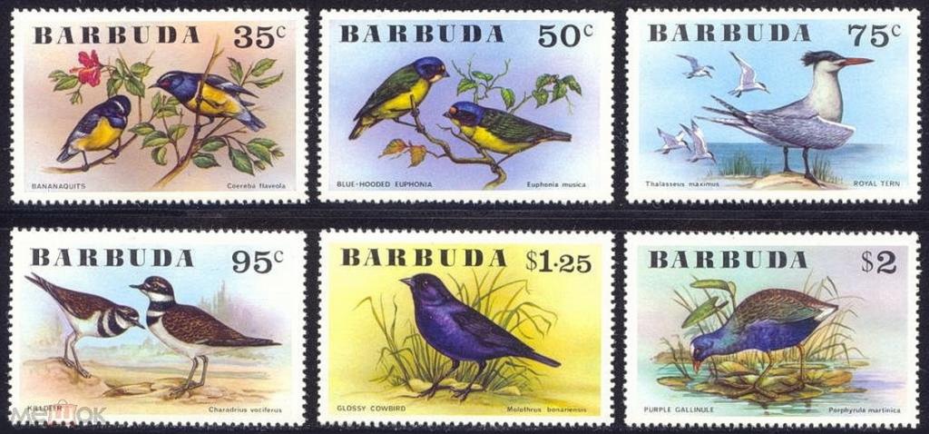 1976 г Барбуда фауна птицы MNH чист