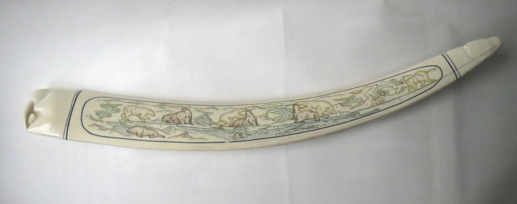 Клык (бивень) моржа, 57 см, 1400  гр.