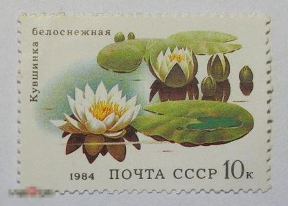 СССР. 1984. ФЛОРА. Водные растения. КУВШИНКА БЕЛОСНЕЖНАЯ. 10 коп. 1 марка. РАСПРОДАЖА