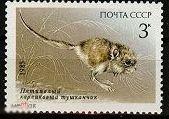 1985 Фауна Животные Красной книги. Грызуны. Тушканчик. 3к. 1 марка РАСПРОДАЖА