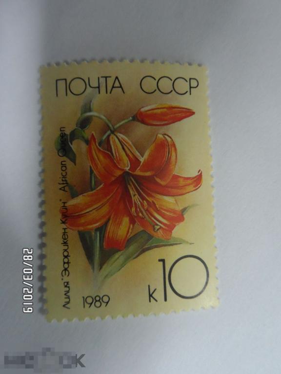1989. СССР ЦВЕТЫ Садовые лилии. ЭФРИКЕН КУИН.1 марка из серии.(298) РАСПРОДАЖА