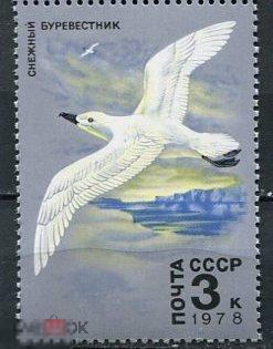 СССР 1978 Фауна Антарктиды Снежный буревестник 3к. 1 марка . РАСПРОДАЖА