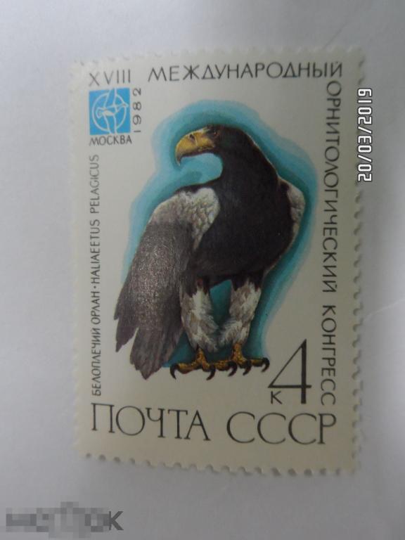 (1982-044) Марка СССР "Белоплечий орлан".1 марка.(101) РАСПРОДАЖА
