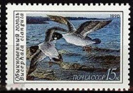 СССР 1990г. 6220-22 Фауна. Утки. 1 марка из серии..  (3635)