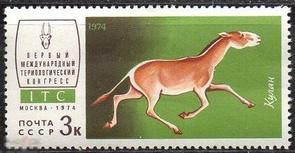 1974.  СССР.  Фауна Териологический конгресс. Фауна.   КУЛАН. 1 марка. (1013)