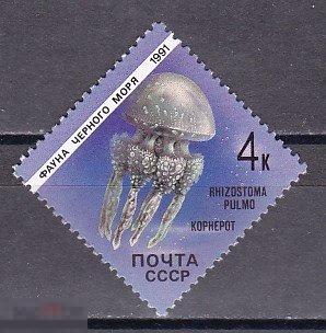 СССР 1991 ФАУНА ЧЕРНОГО МОРЯ. 4 коп.Корнерот. 1 марка.