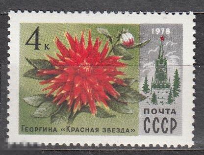 1978  СССР. ЦВЕТЫ МОСКВЫ, Георгина "КРАСНАЯ ЗВЕЗДА" 1 марка серии.