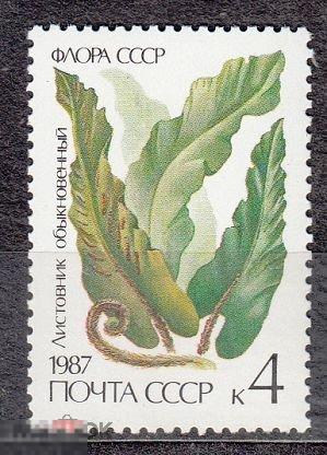 1987. СССР. «ФЛОРА. ПАПОРОТНИКИ». Листовник обыкновенный. 1 марка. РАСПРОДАЖА!