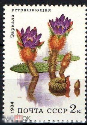 СССР. 1984. ФЛОРА. Водные растения. Эвриала устрашающая. 2 коп. 1 марка  РАСПРОДАЖА!