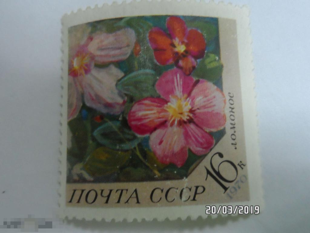 (1970-105) Марка СССР "Ломонос " 1 МАРКА.(132) РАСПРОДАЖА