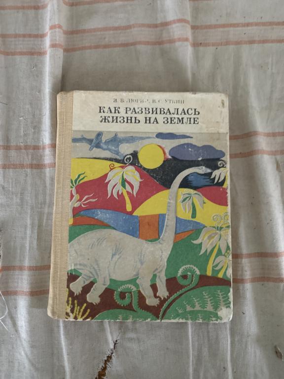 Киев радянська школа