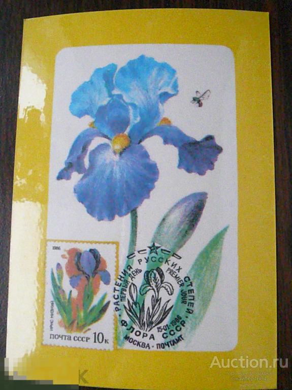 Почта СССР. Ирис низкий. Флора. Почтовые марки. Союз филателистов. 1987. 