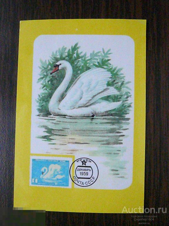 Реклама. Всесоюзное общество филателистов (ВОФ). Лебедь. Охраняйте полезных птиц! 1988.