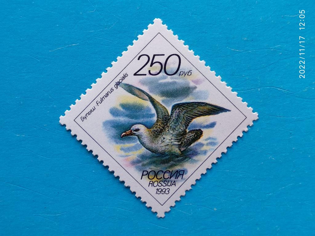 Россия | РФ 1993 Животные морей Тихоокеанского региона / Глупыш** №108