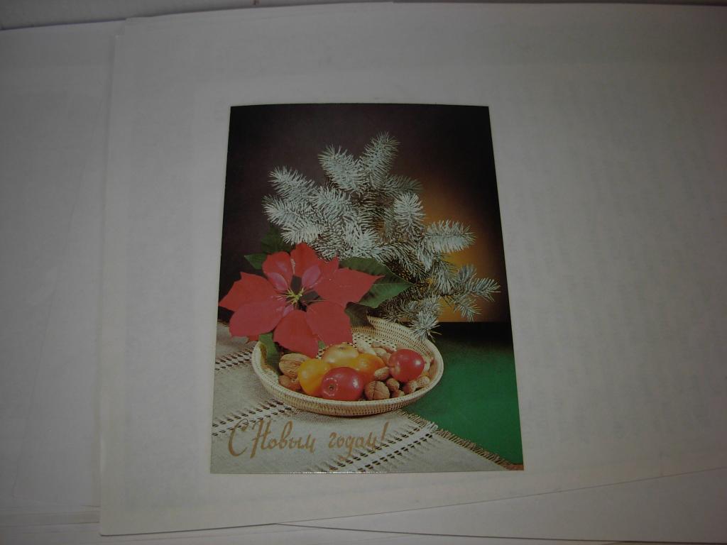 Открытка старинная С Новым годом ! Фото Д. Киндровой , 1990 год , чистая  3