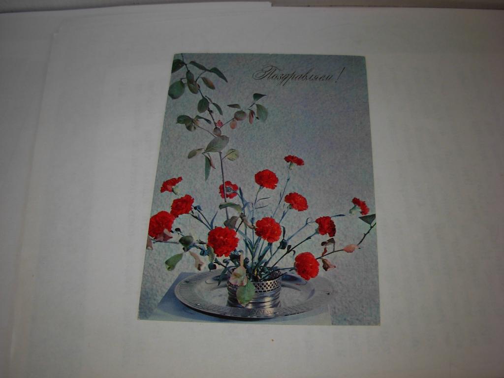 Открытка старинная Поздравляю !  , гвоздики , Фото Б. Круцко , 1976 год , чистая , стоила 3 копейки