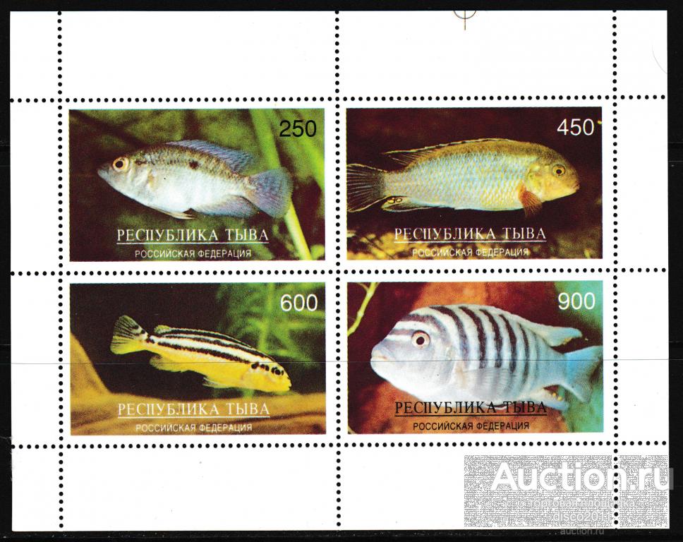Тыва Тува Экзотические рыбы Аквариумные рыбки Морская фауна моря сцепка**