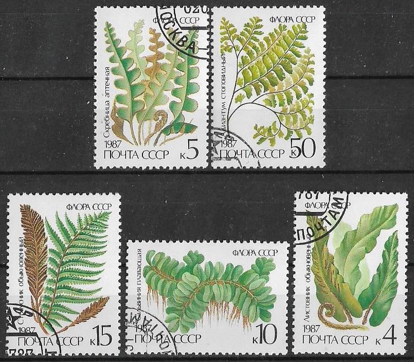 СССР 1987 г.  Папоротники Растения Флора  гаш.