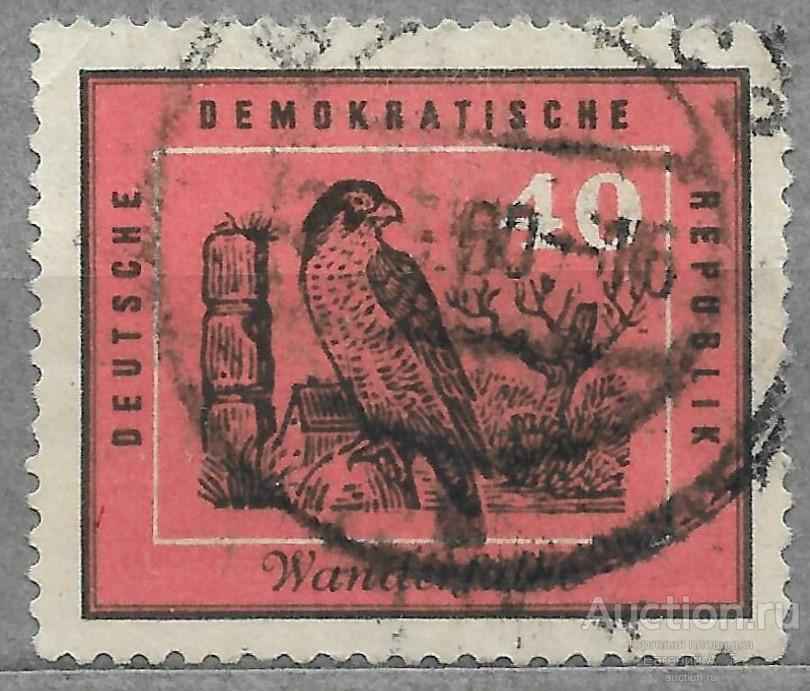 ГДР. 1959. Сапсан. Птицы. Used.