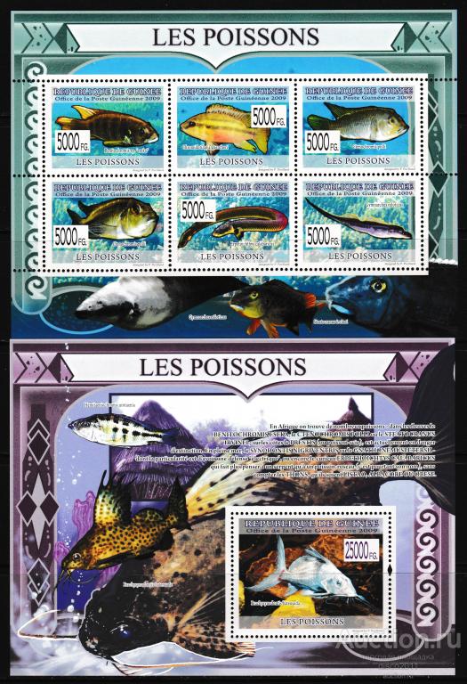 Гвинея 2009 Рыбы Морская фауна моря к/б+бл**