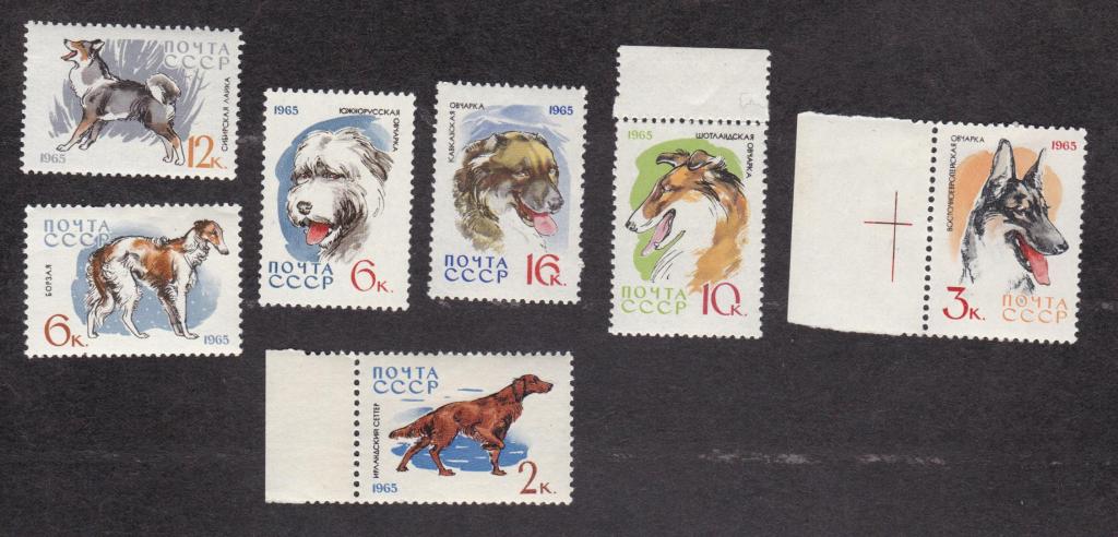 распродажа СССР 1965 Фауна Собаки (3876)