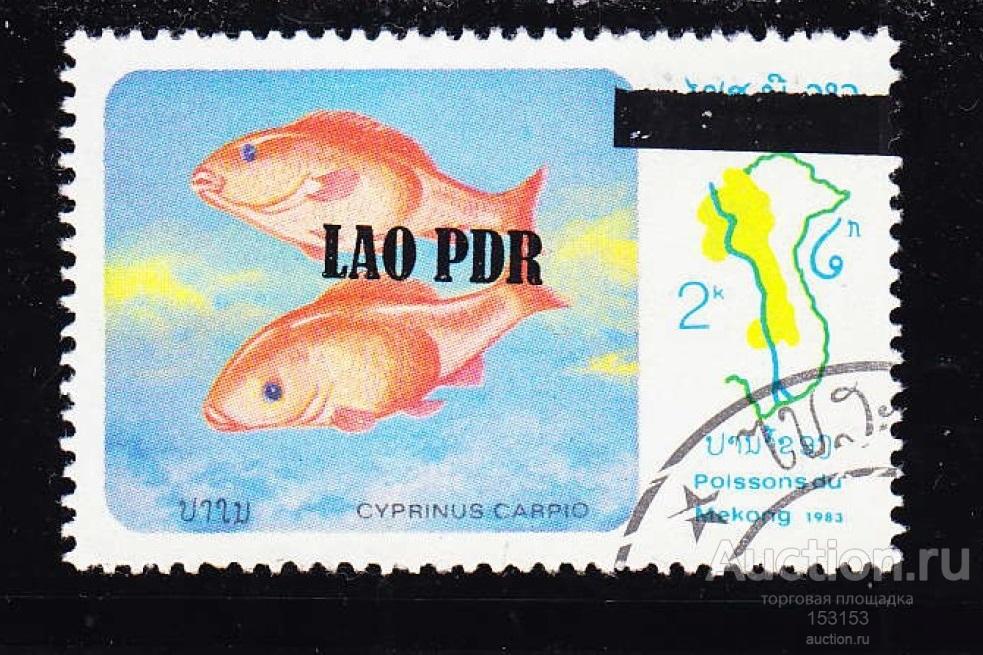 лoкал LАО РDR севеpный ЛАOС 1983 2K