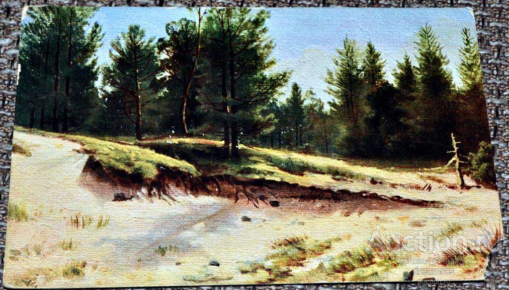 Открытка Живопись. Шишкин - Этюд леса с натуры 1900-е