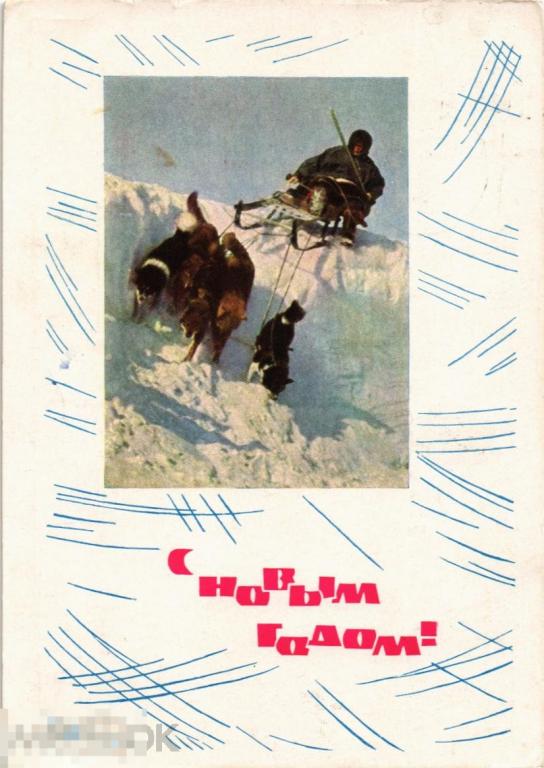 (WG) С новым годом! Упряжка собак чукча север 1965 (2021-135) 