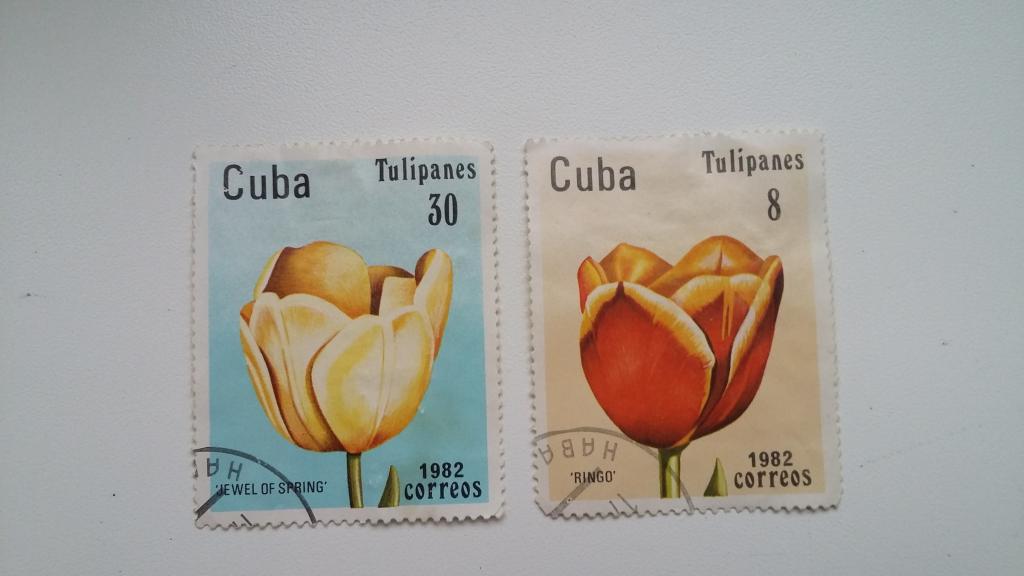 Марки Кубы 1982 года. Тюльпаны.