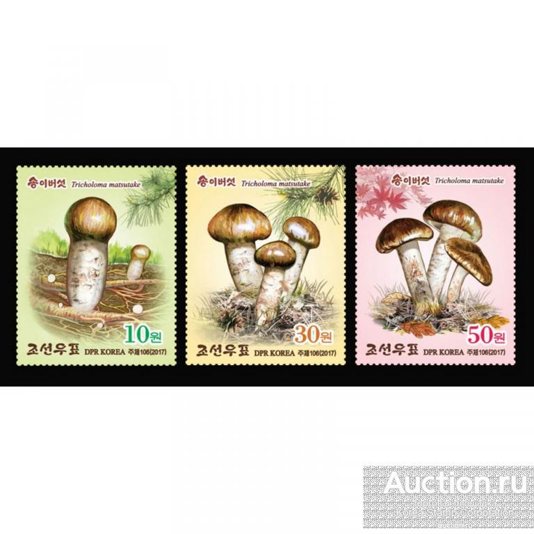 dpr5123-5 Северная Корея 2017г. Сосновый гриб Грибы MNH