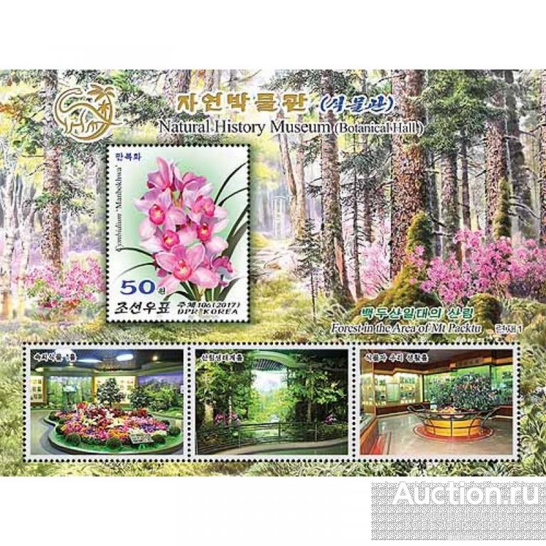 dpr5132 Северная Корея 2017г. Музей естественной истории Цветы MNH