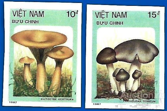 Вьетнам 1987 MiNr 1877U - 78U. Грибы, б/з** MNHOG (ЧБН)  (2 € / 3 $)