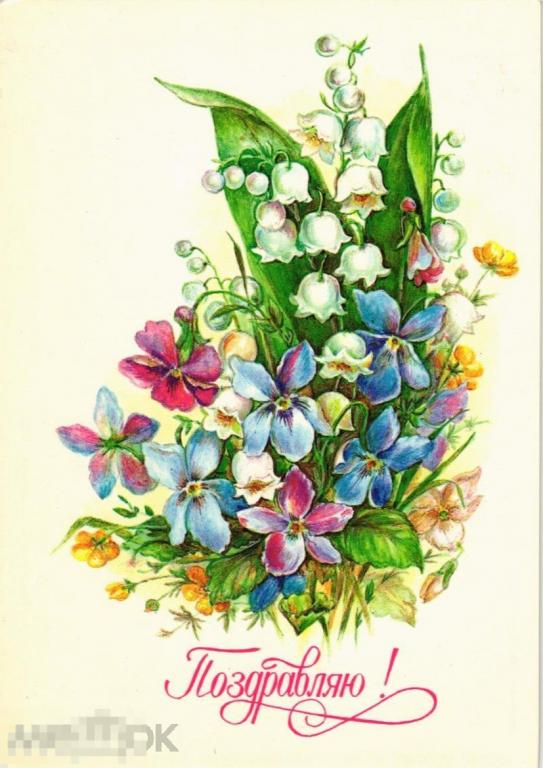 (WG) Поздравляю 1985 Бодрихина композиция цветы  (2022-90) чистая 