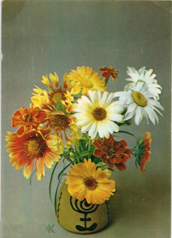 (WG) Композиция из цветов 1984 Савалов (2022-130-3) чистая 