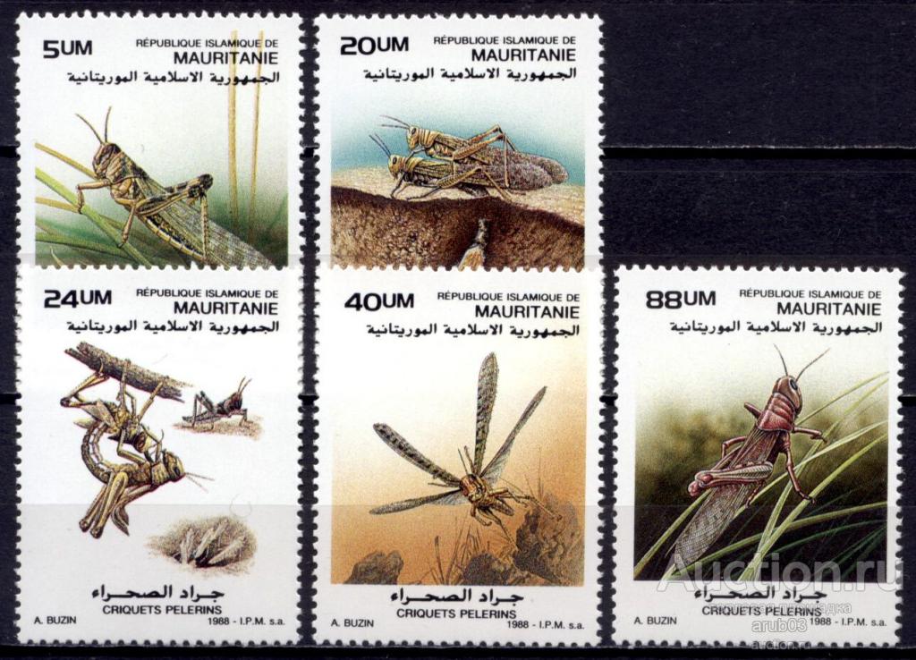 = Мавритания 1988 Фауна Насекомые Перелетная саранча сер5мар** Mi # 950-954 |F2-41|