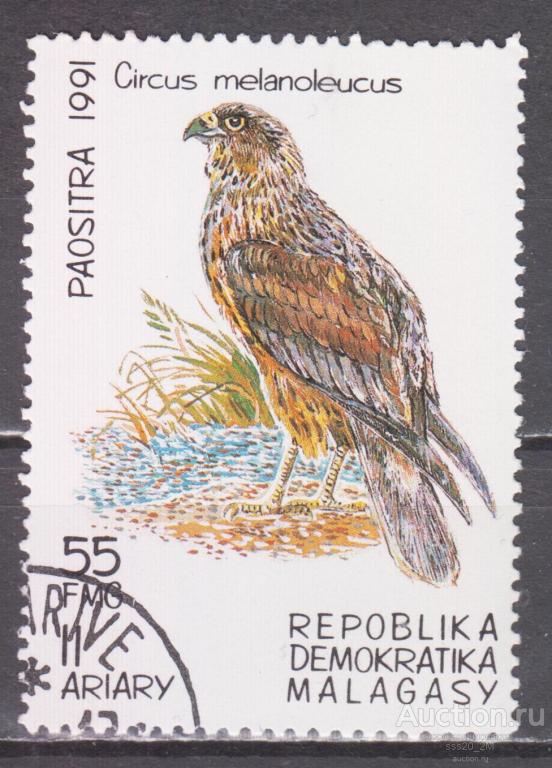 Мадагаскар 1991 пегий лунь Mi1331