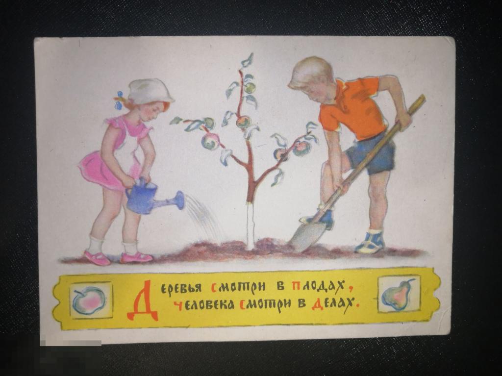 Пословица терпение и труд всё перетрут. Как работал так и заработал картинка. Упорство и труд всё перетрут. Пословица терпение и труд все перетрут. Трудовое воспитание картинки.