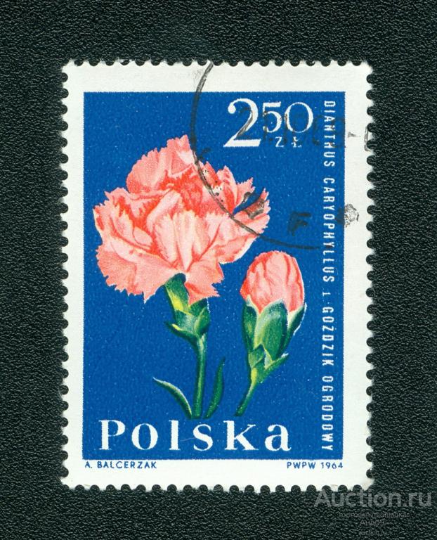 1964 г. Польша - Садовые цветы. Гвоздика (0182f)