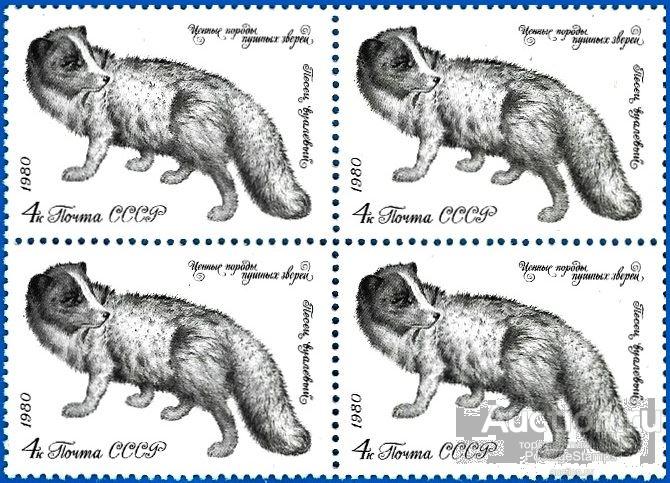 1980 СССР 5087 (Z 5019) Пушные звери. Песец** MNHOG (ЧБН)