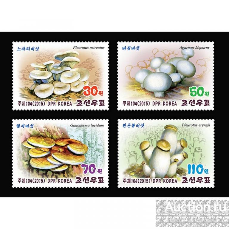 dpr4994-7 Северная Корея 2015г. Грибы Грибы MNH
