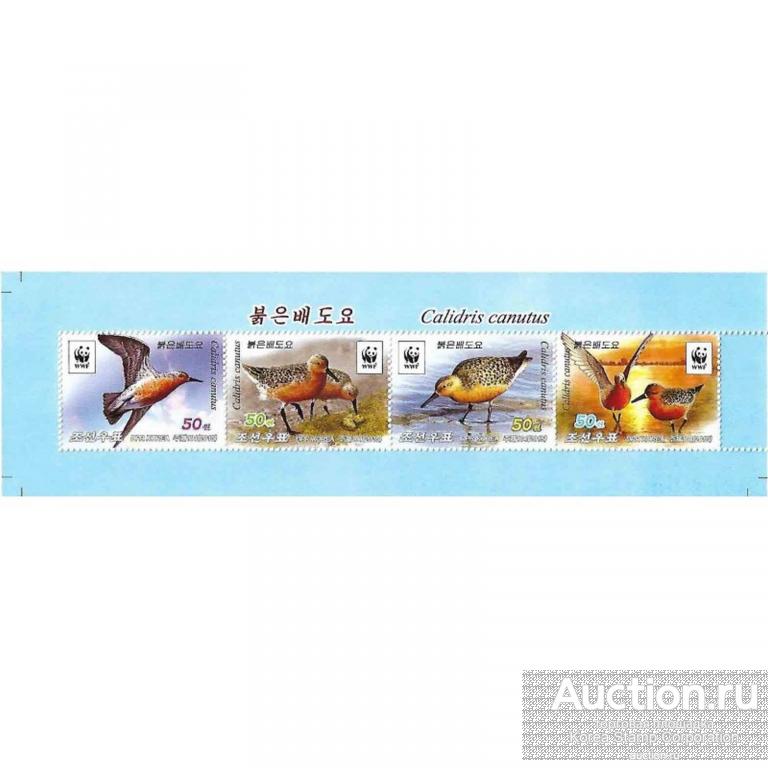 dpr222abs Северная Корея 2015г. Исландский песочник Птицы MNH