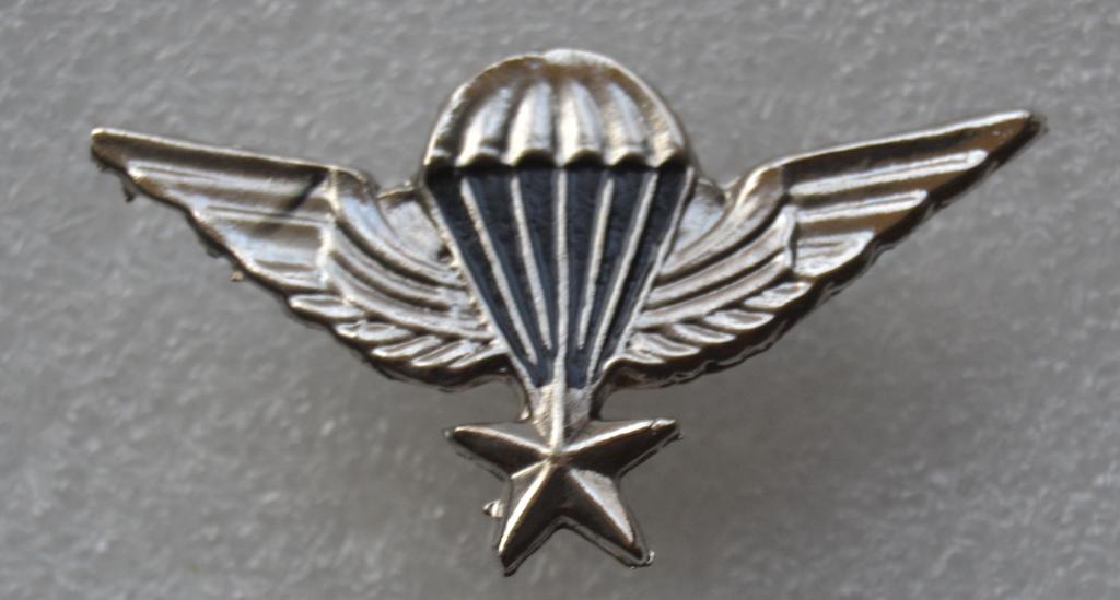 Знак ВДВ Иран - Парашютист десантник - 5