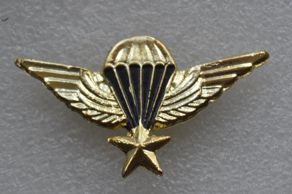 Знак ВДВ Иран - Парашютист десантник - 4