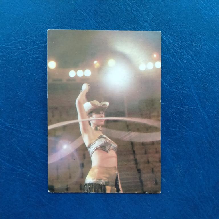 Карманный календарь ЦИРК 1985 год  2