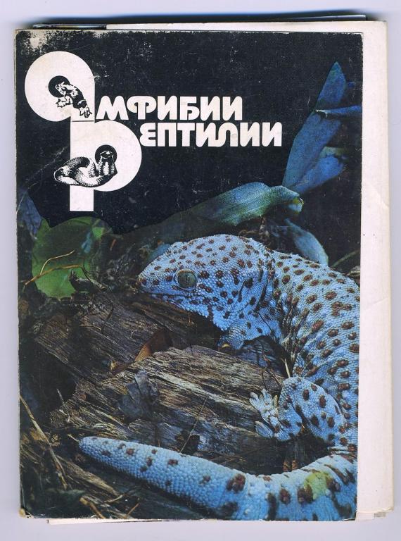 Амфибии и рептилии - комплект 22 открытки - 1989 год