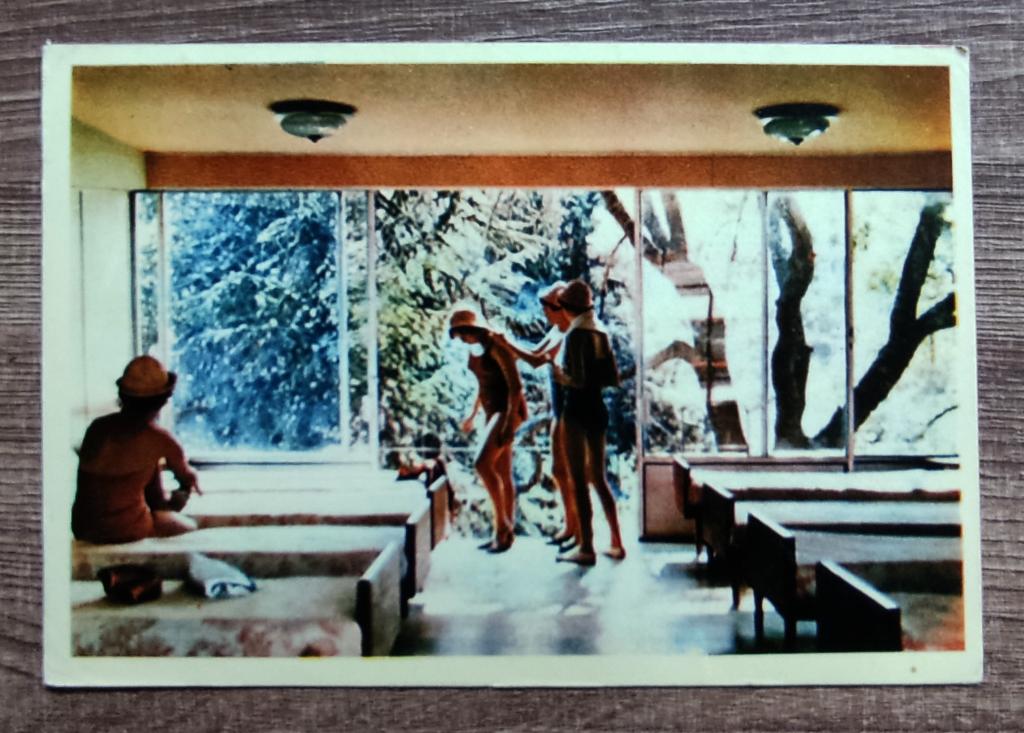 КРЫМ. ЛАГЕРЬ АРТЕК. СПАЛЬНЯ ДЕВОЧЕК. ФОТО ТУНКЕЛЯ  1962. КАРТОЧКА РАДИОЛЮБИТЕЛЯ. НА ТРЕХ ЯЗЫКАХ.