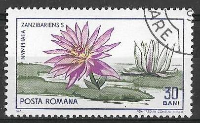 Румыния 1965 г.  Цветы Растения Флора, гаш.