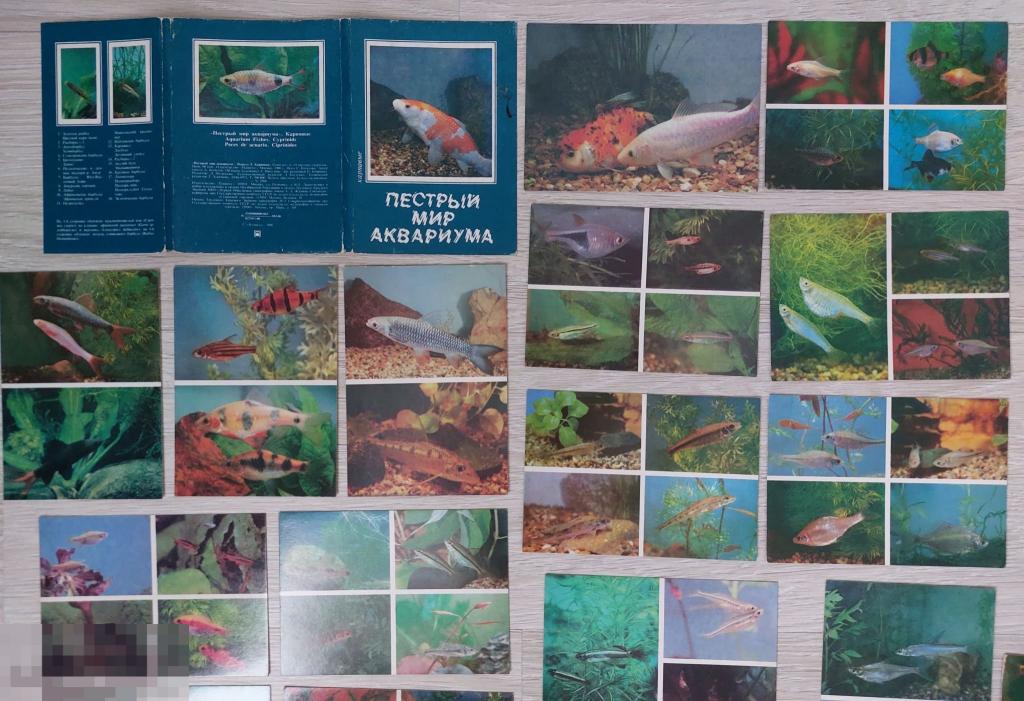 Красивые открытки с животными и птицами