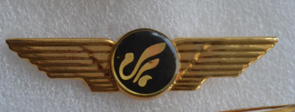 Знак пилот Авиакомания - Mahan Airlines  — Иран - Крылья