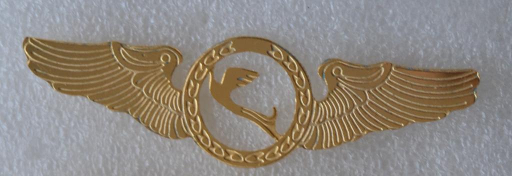 Знак пилот Авиакомания - Caspian Airlines — Иран - Крылья